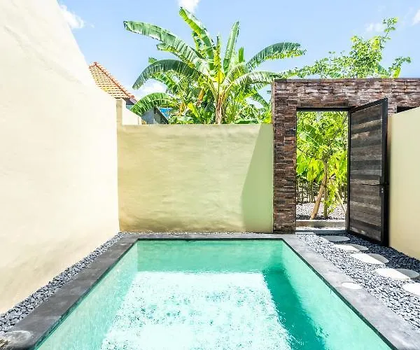 Samas Apartment Canggu